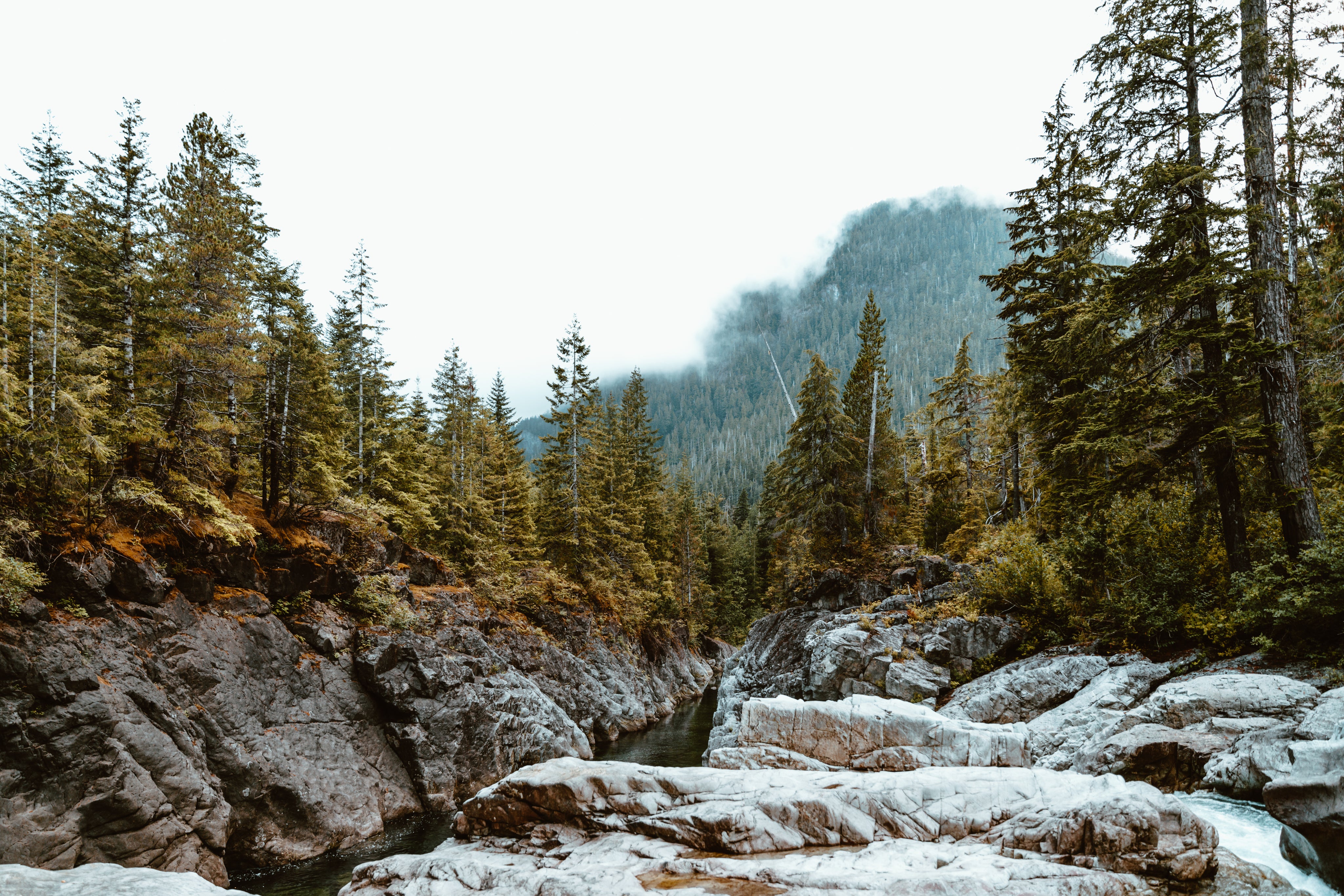 River in forest with clouds and mountain